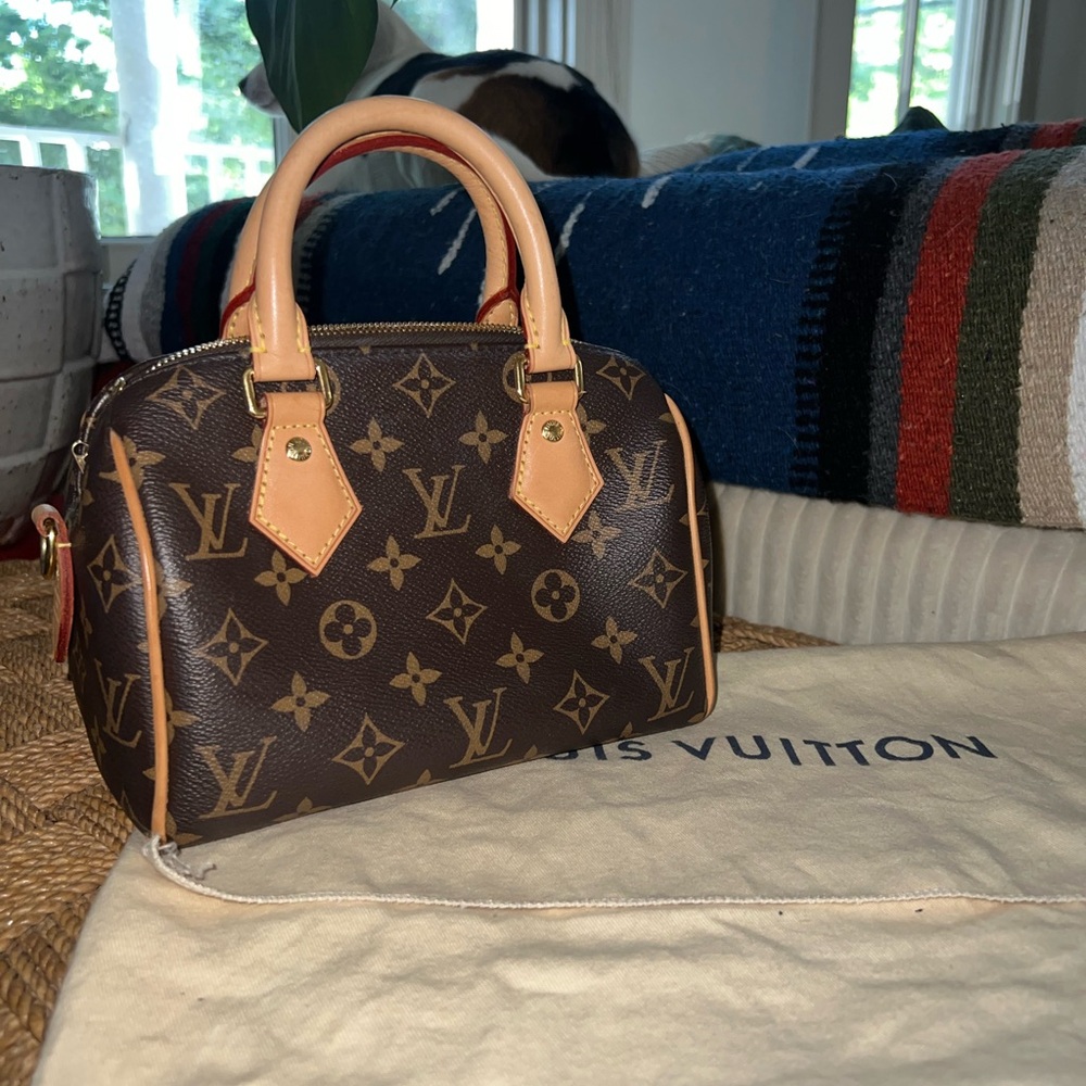 Louis Vuitton Speedy 20 Monogram Canvas